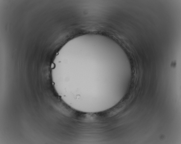 X0000093530612200710121150