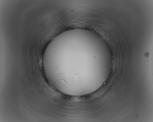 X0000093530613200710121150