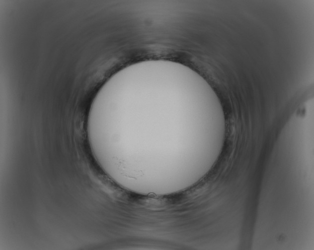X0000093530615200710121150