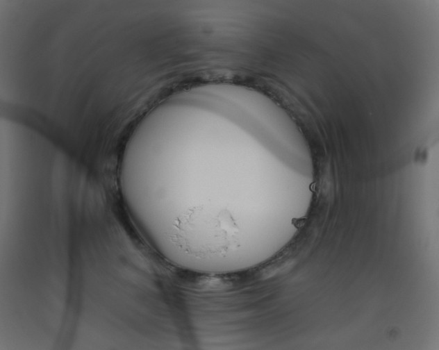 X0000093530616200710121150