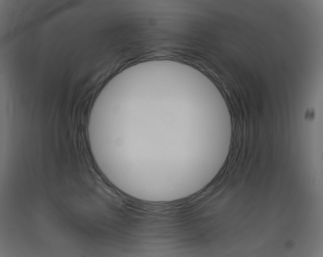X0000093530617200710121150