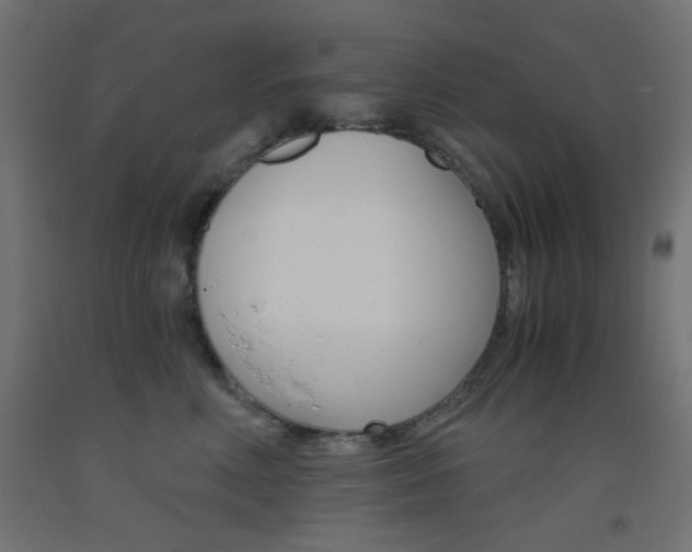 X0000093530618200710121150