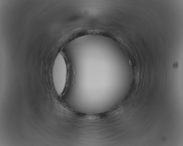 X0000093530619200710121150