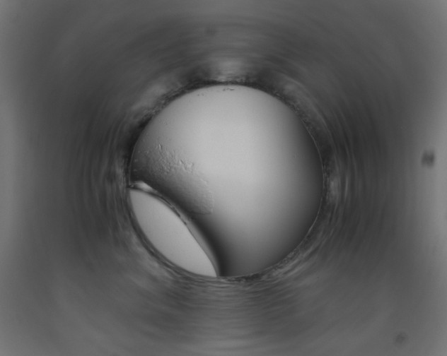 X0000093530620200710121150