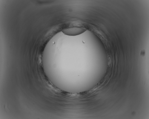 X0000093530621200710121150