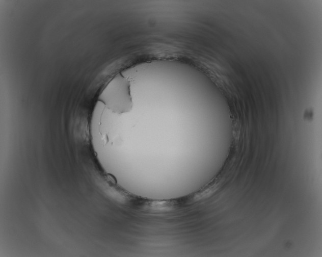 X0000093530622200710121150