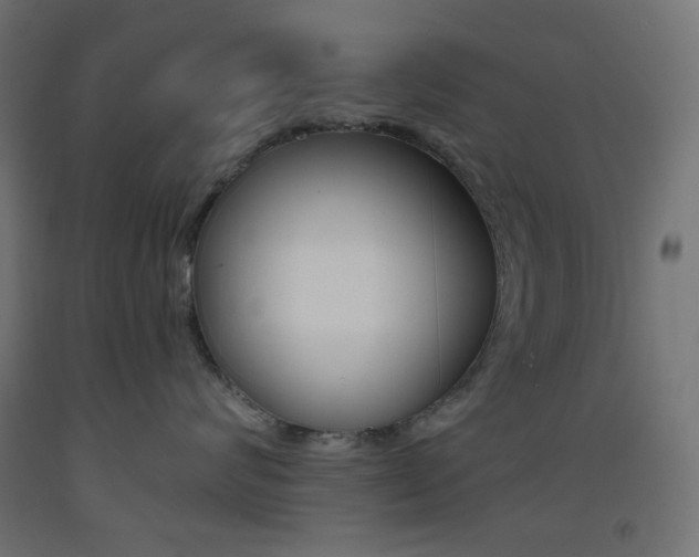X0000093530624200710121150