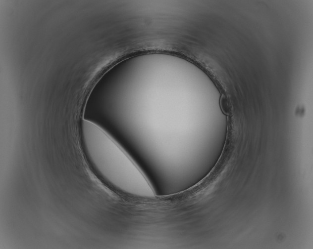 X0000093530625200710121150