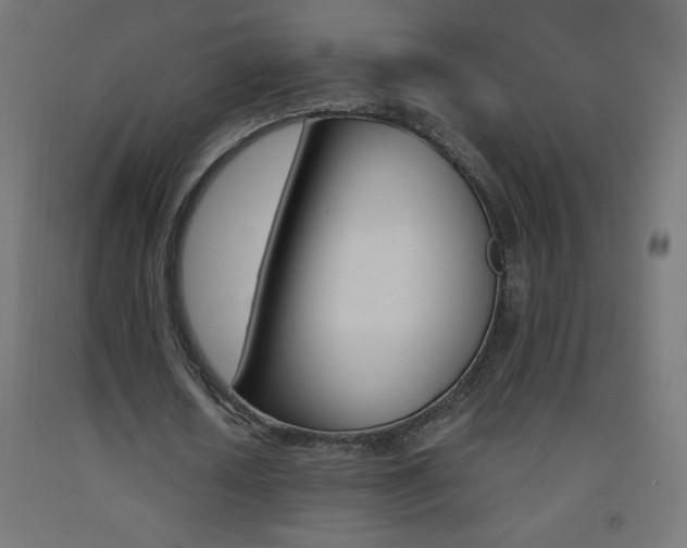 X0000093530626200710121150
