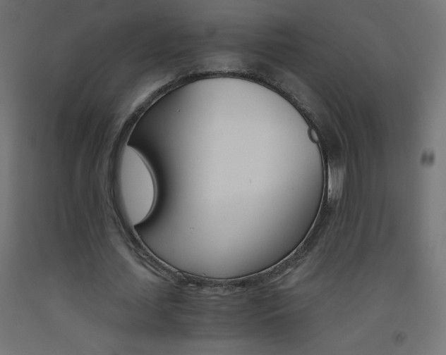 X0000093530627200710121150
