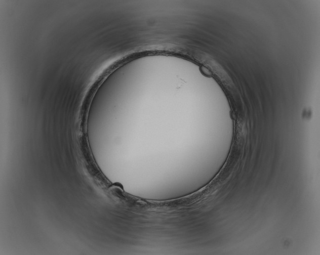 X0000093530628200710121150