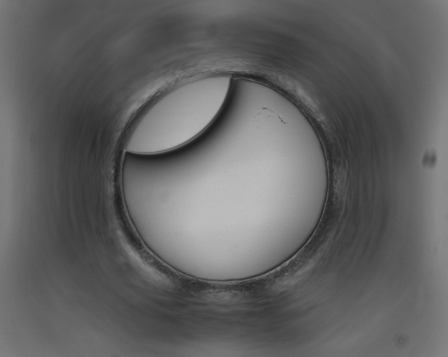 X0000093530629200710121150