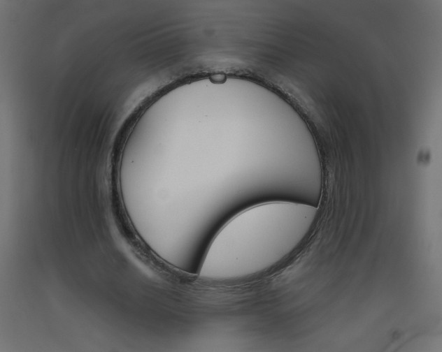 X0000093530630200710121150