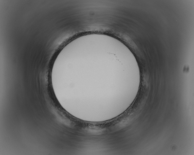 X0000093530632200710121150