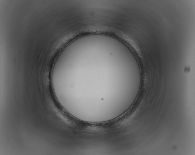 X0000093530633200710121150