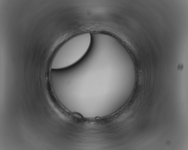 X0000093530634200710121150