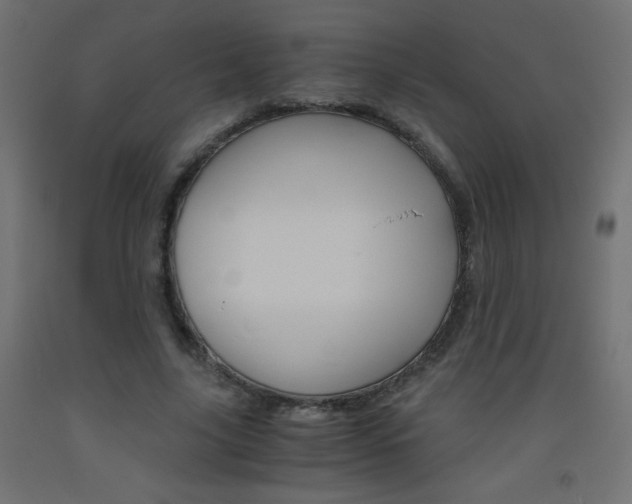 X0000093530635200710121150