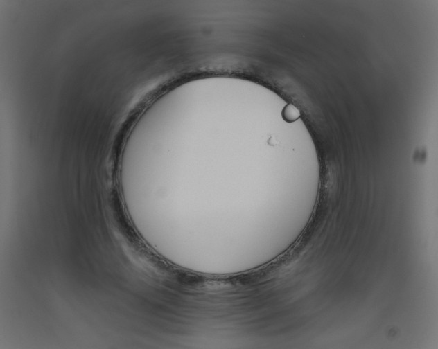X0000093530636200710121150