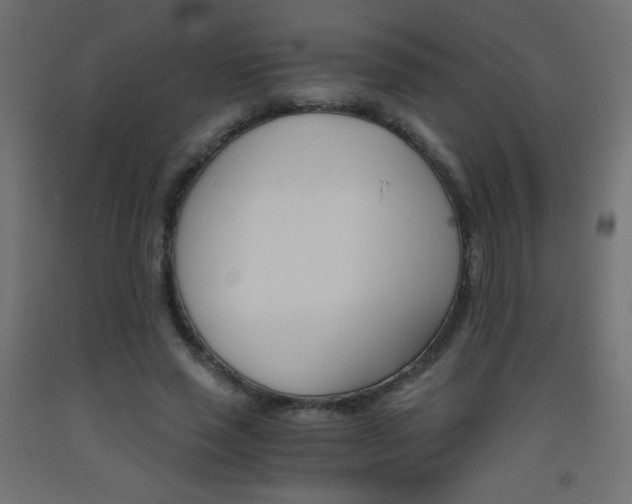 X0000093530637200710121150