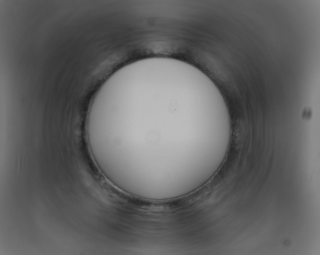 X0000093530639200710121150