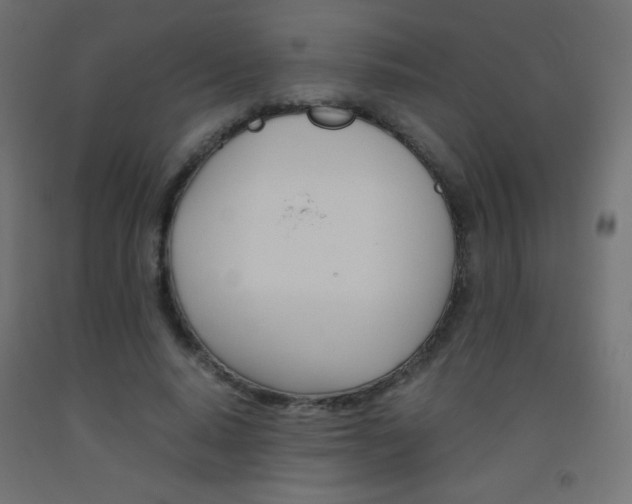 X0000093530640200710121150