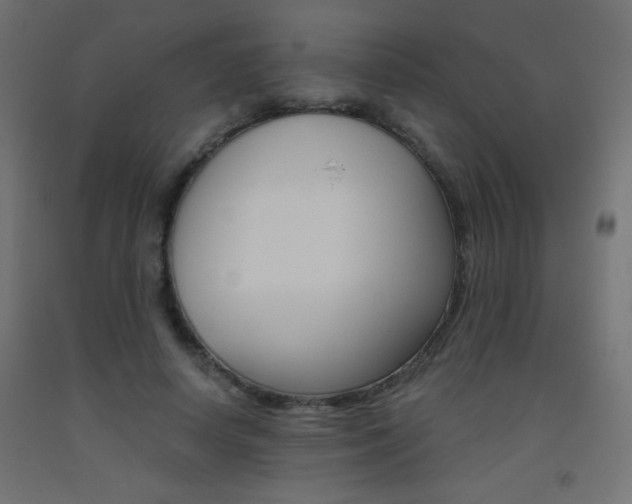 X0000093530642200710121150