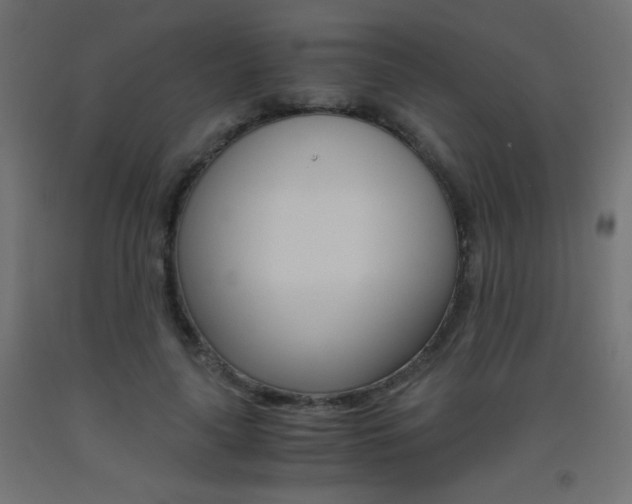 X0000093530643200710121150
