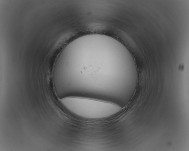 X0000093530644200710121150