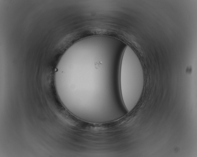 X0000093530645200710121150