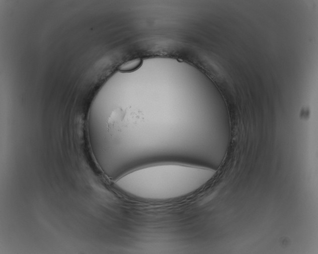 X0000093530646200710121150