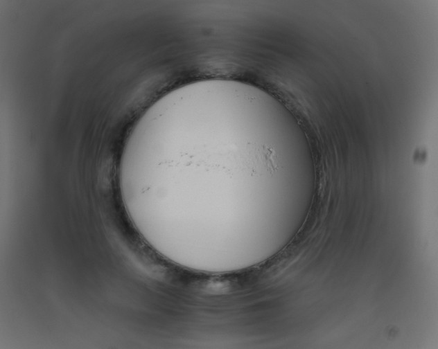 X0000093530647200710121150