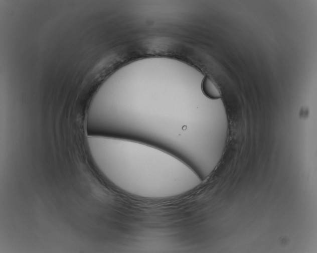 X0000093530648200710121150