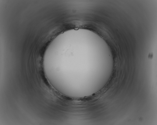 X0000093530650200710121150