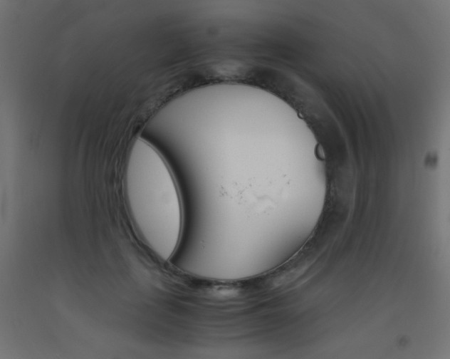 X0000093530651200710121150