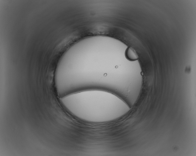 X0000093530652200710121150