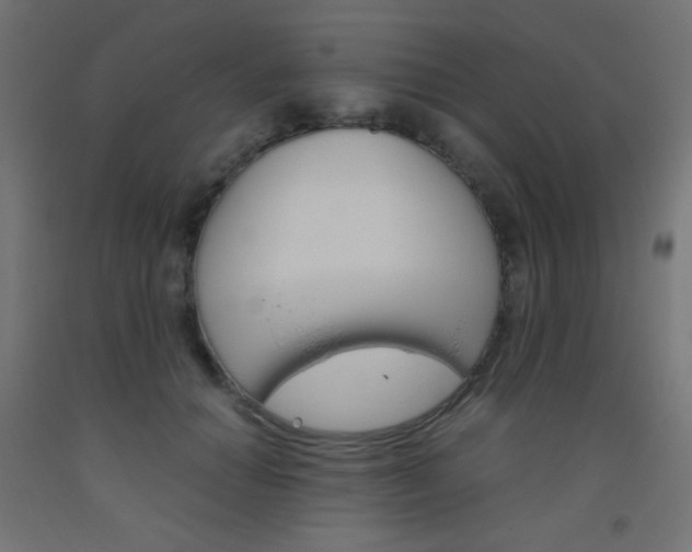 X0000093530654200710121150