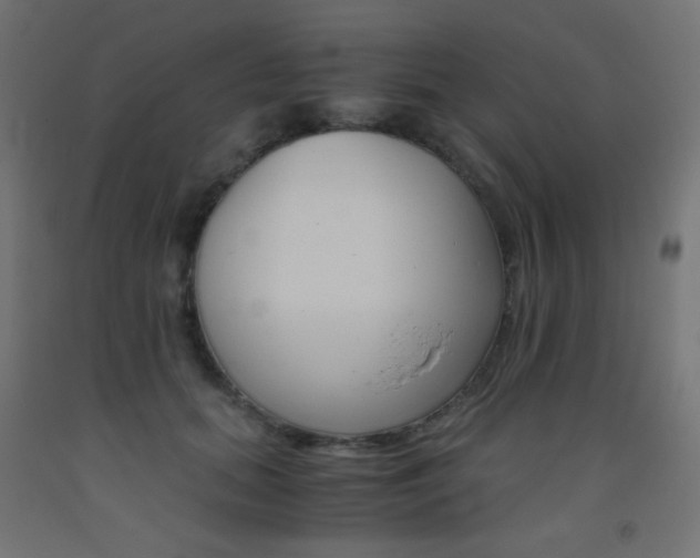 X0000093530655200710121150