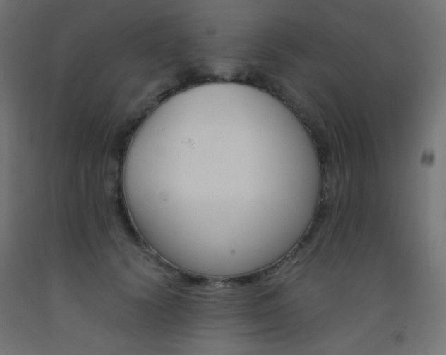 X0000093530656200710121150