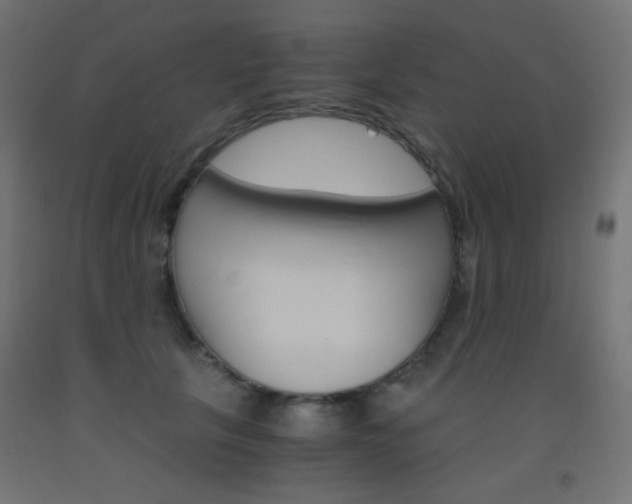 X0000093530657200710121150