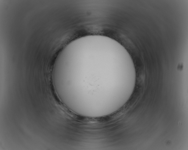 X0000093530658200710121150