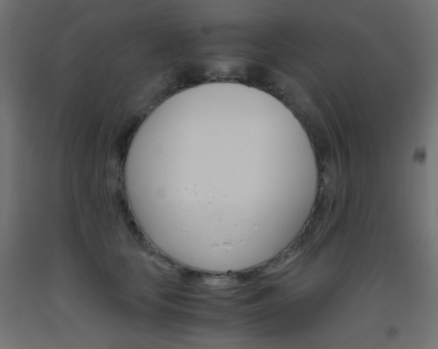 X0000093530659200710121150
