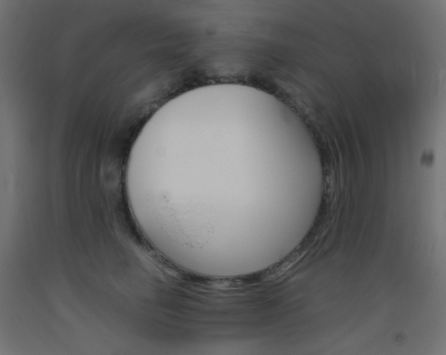 X0000093530662200710121150