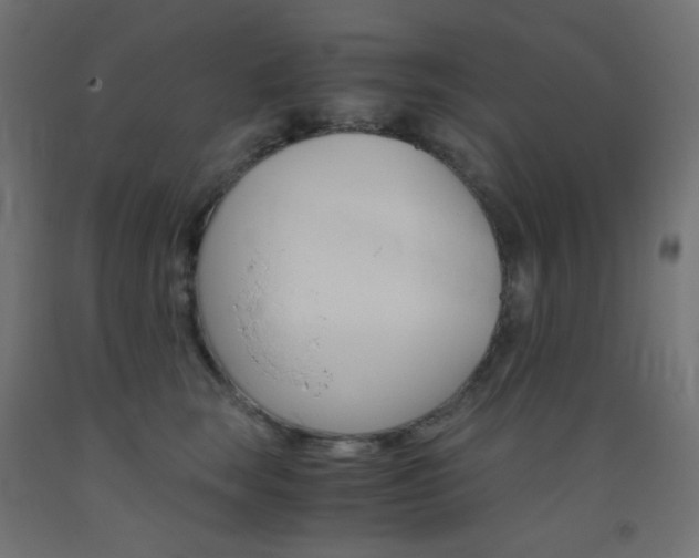 X0000093530663200710121150