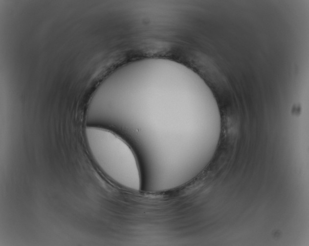 X0000093530664200710121150