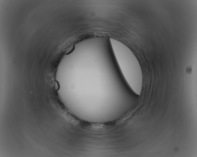 X0000093530666200710121150