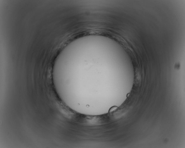X0000093530667200710121150