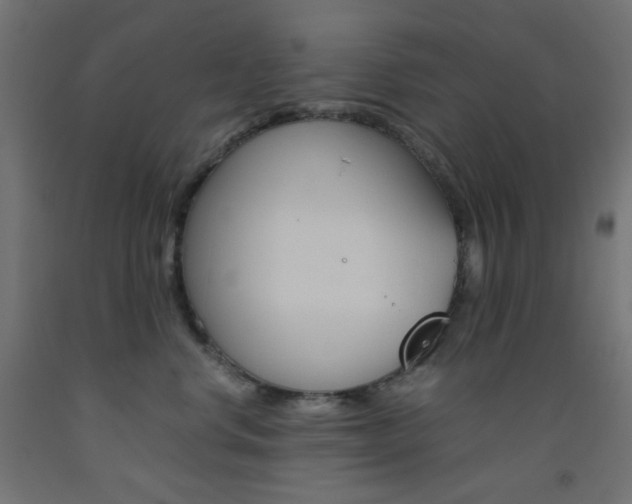 X0000093530668200710121150