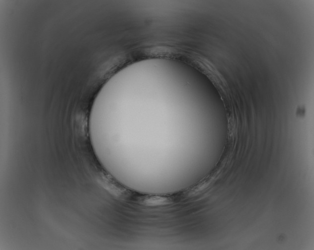 X0000093530669200710121150