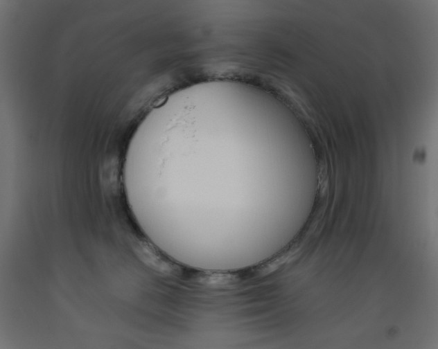 X0000093530670200710121150