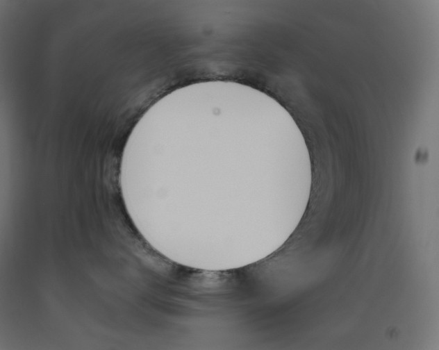 X0000093530672200710121150